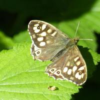 Devonshire Road NR (@devonshireroadn) 's Twitter Profile Photo