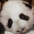 EmiMitillo's profile picture. 