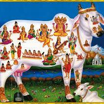 #Join and #Follow this #Profile if you #Support #BeefBan ... #Twitter #Trends