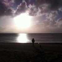 Robin Brierley (@robinbrierley) 's Twitter Profile