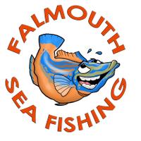 Falmouth Sea Fishing(@falmouthseafish) 's Twitter Profile Photo