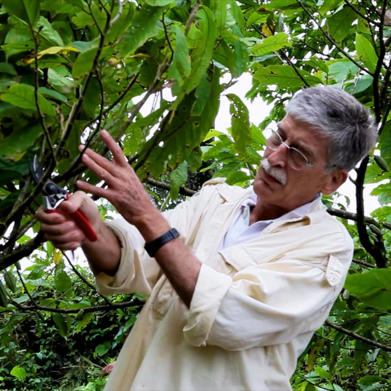 handcrafted small batch #chocolate of purest quality from our own #chocolateplantation #organic #sustainable #fairtrade and made with love #chocolatelove