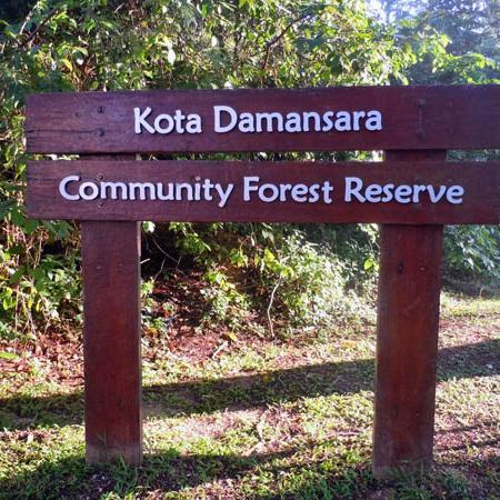 Kd Community Forest Kdcforest Twitter