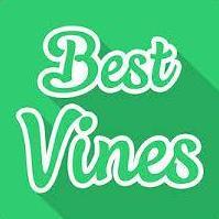 El_Zorro_Dorado's profile picture. FUNNY VINES - http://t.co/WyUycaux4u