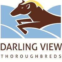 Darling View T/Breds (@darlingviewtb) 's Twitter Profile