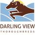 Darling View T/Breds (@darlingviewTB) Twitter profile photo