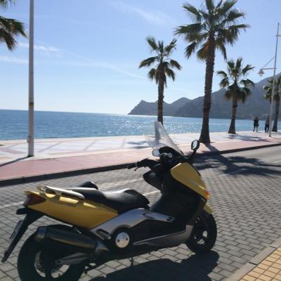 Roberto_esp's profile picture. In Paradise.