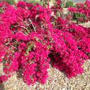 robin ayala-green - @green_ayala - Twitter