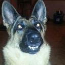 Barbara Field - @tikabooladyboo - Twitter