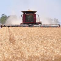 Morton Farming (@brentmorton8) 's Twitter Profile Photo Morton Farming (@brentmorton8) 's Twitter Profile Photo