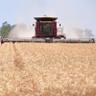 brentmorton8's profile picture. One man show. Complete cropping CTF and Variable Rate.