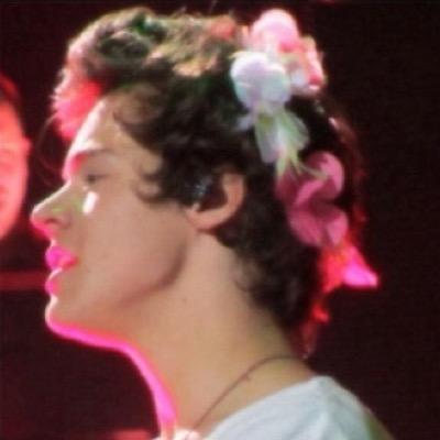 harry styles can punch me in the face anyday