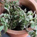 Danielle Deskins - @DanielleDesikns - Twitter