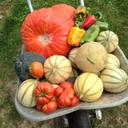 Ray Atkinson - @Le_Biau - Twitter