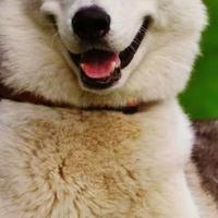 andiny febrianty (@andinysalsa) 's Twitter Profile