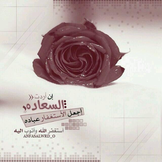 ‏‏شاركني الاجر حساب خاص لعمل رتويت لكل ما يرض الله اذا تبي نشر الاجر ما عليك الا ان تضع الاكاونت اذا ارده نشر تغريداتك والباقي علي نرجو دعم الحساب #رتويت