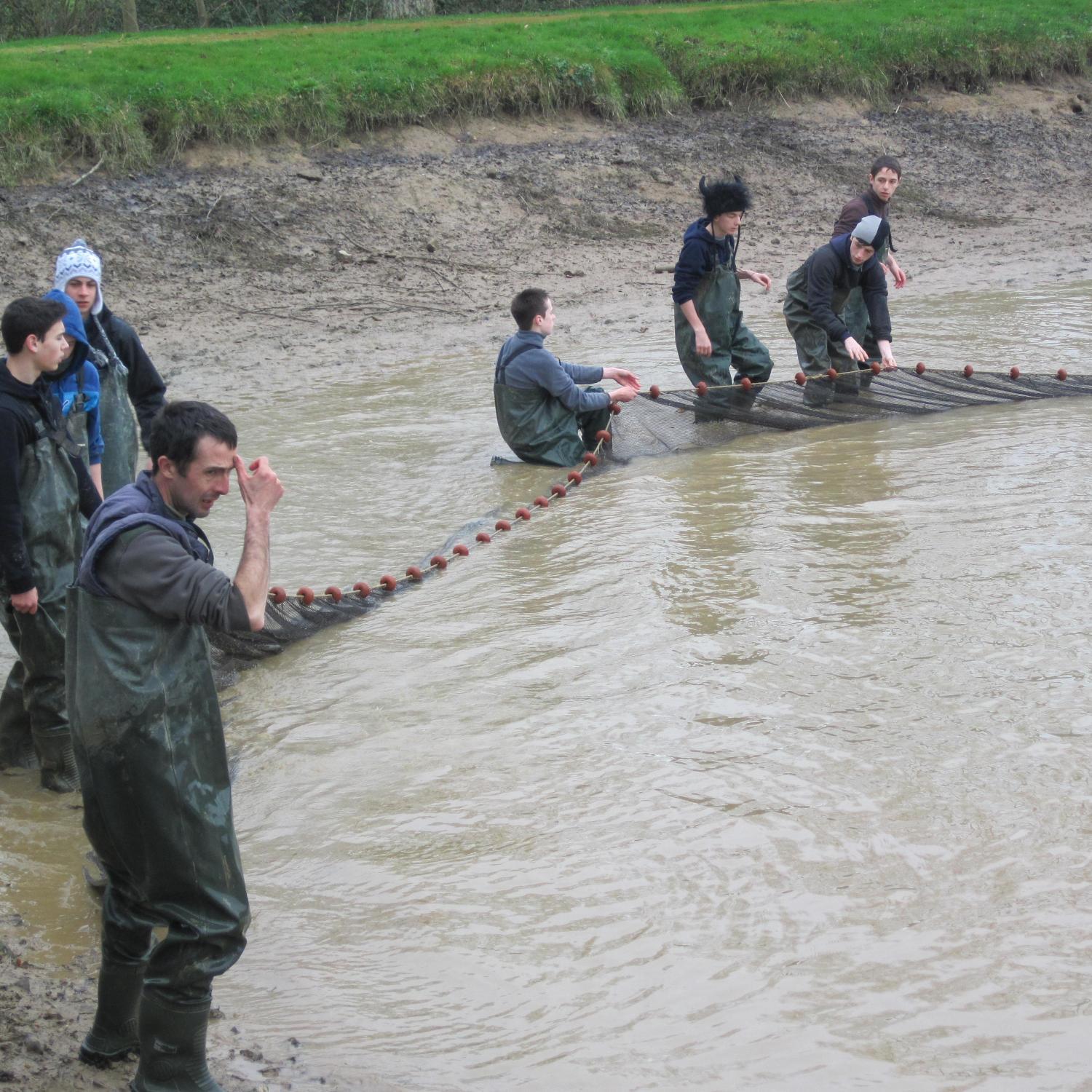 PisciPassion's profile picture. 