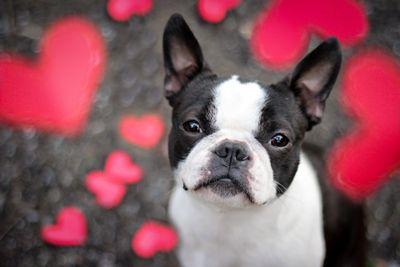 allout70's profile picture. 생각하고 판단하고 대응하라.