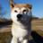 bari_ken's profile image