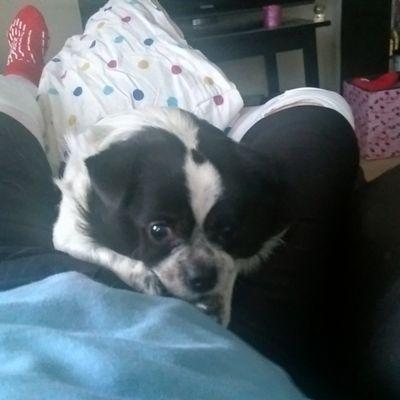 Brain3042Brian's profile picture. 