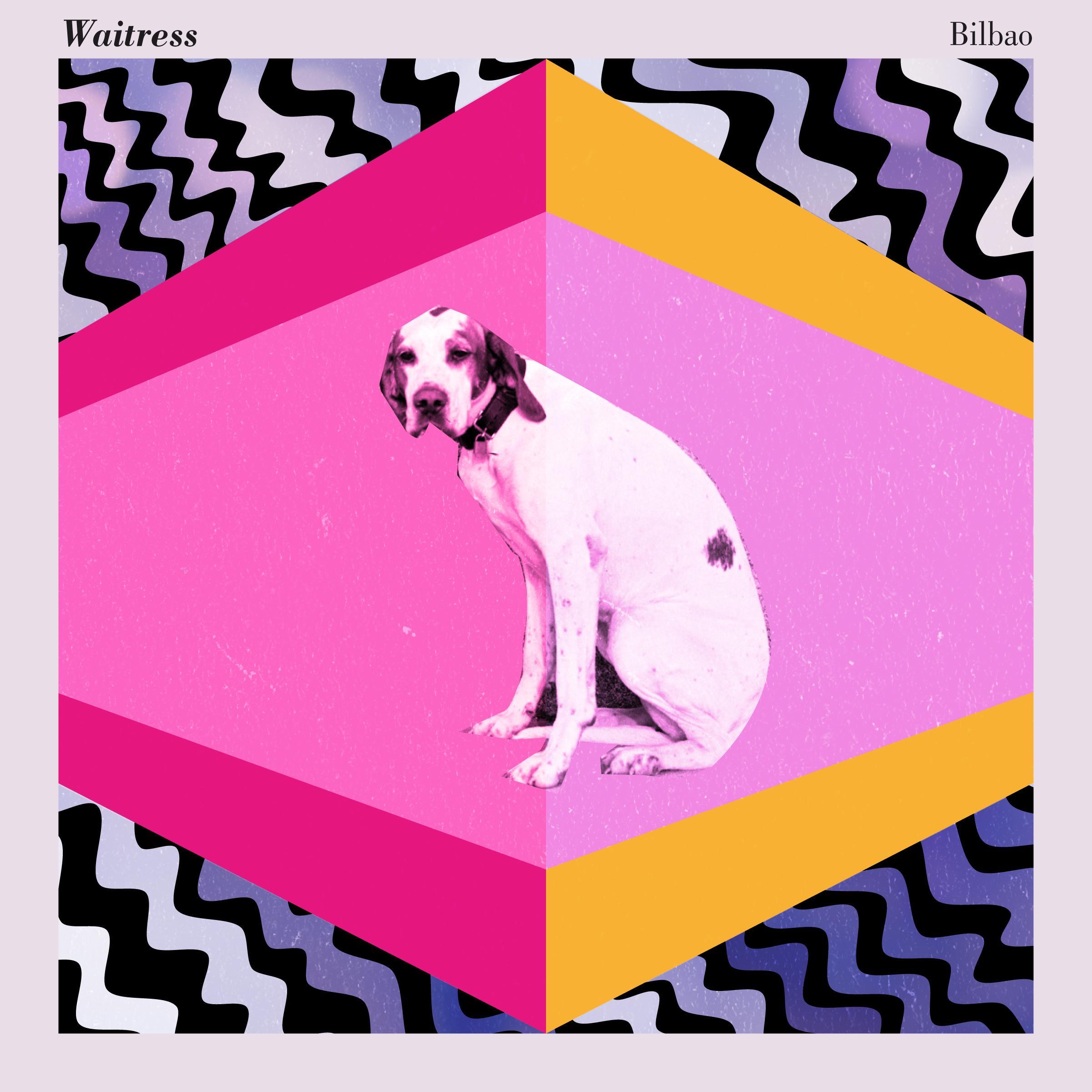 Waitressband's profile picture. 