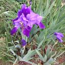 Jill Burris - @BurrisJill - Twitter