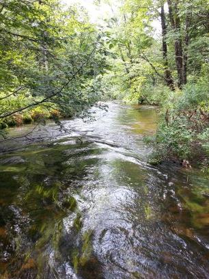 jmhandel's profile picture. 