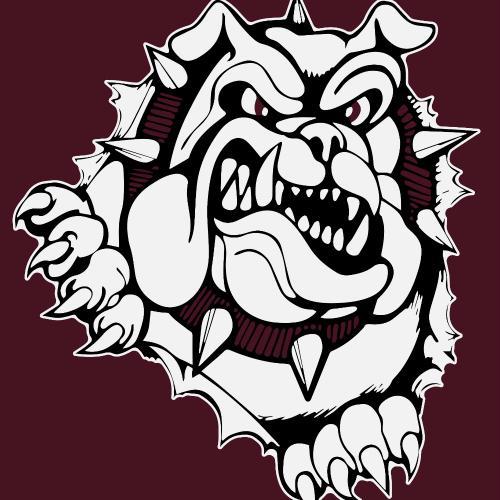 Woodridge HS Football. GO BULLDOGS!