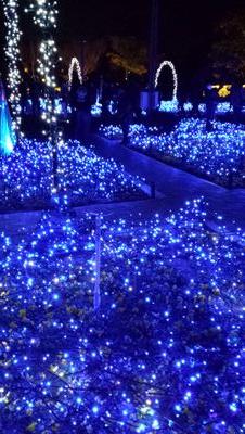 stardaface's profile picture. 