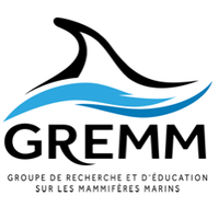 GREMM (@gremm_) 's Twitter Profile
