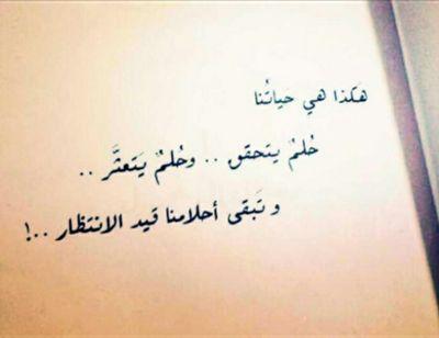 osamh1416h's profile picture. 