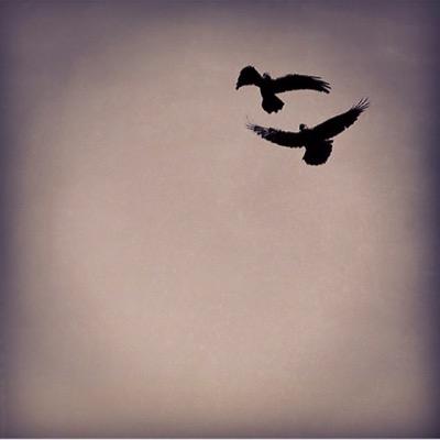.. سنكسبُ رهان الحياة يوماً .. ما كان جهادنا على أحلامنا عبثاً ..