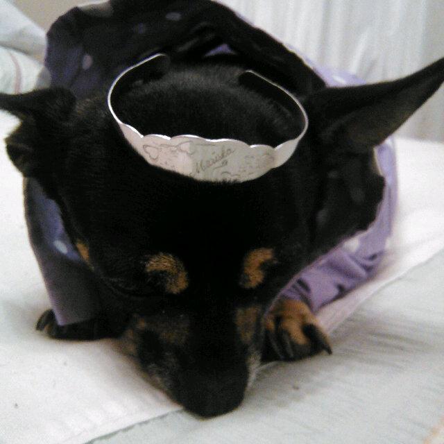 Mariska17093480's profile picture. 