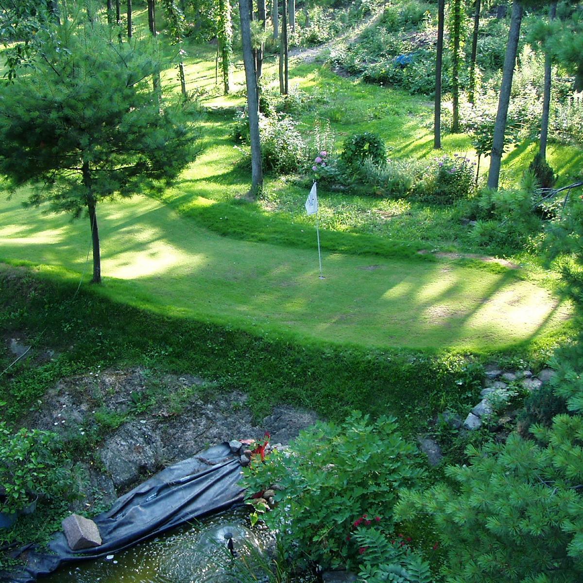 Built a 18 hole golf course in my backyard, made some trick shot videos.