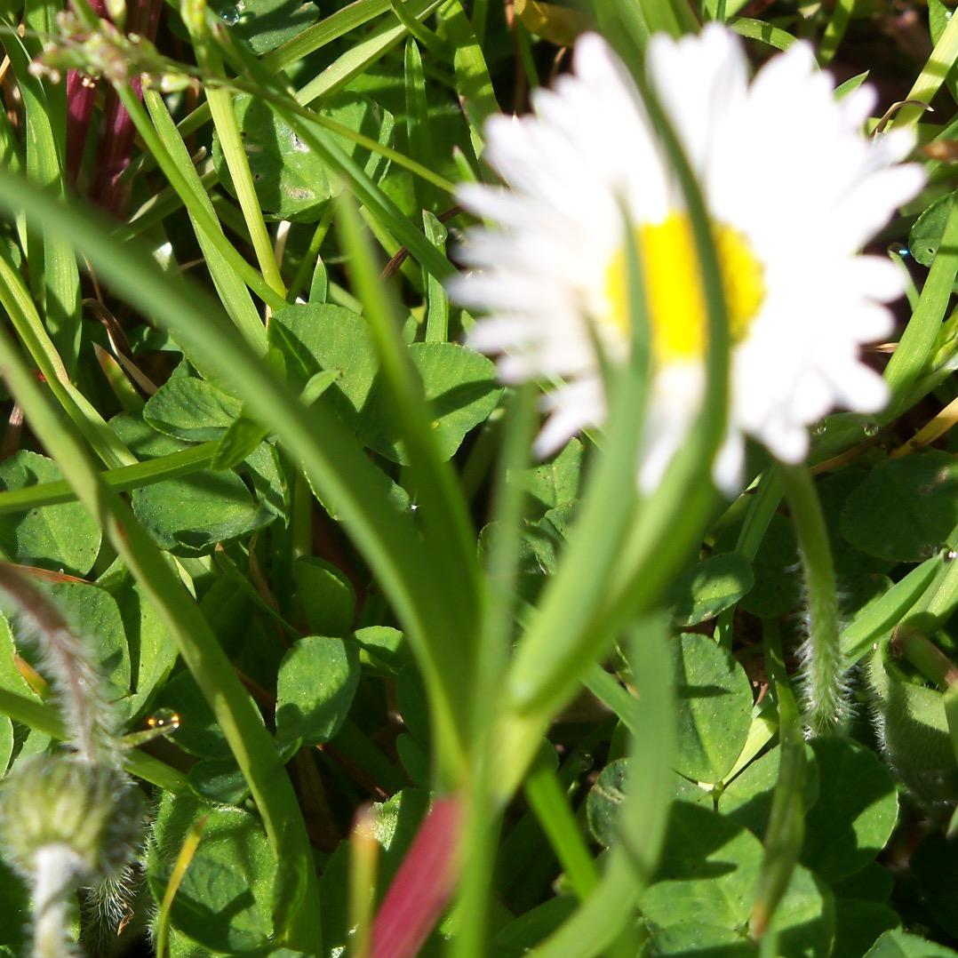 Me_Nomah's profile picture. 