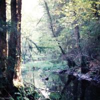 I am a Phantom! (@phantomiam) 's Twitter Profile Photo