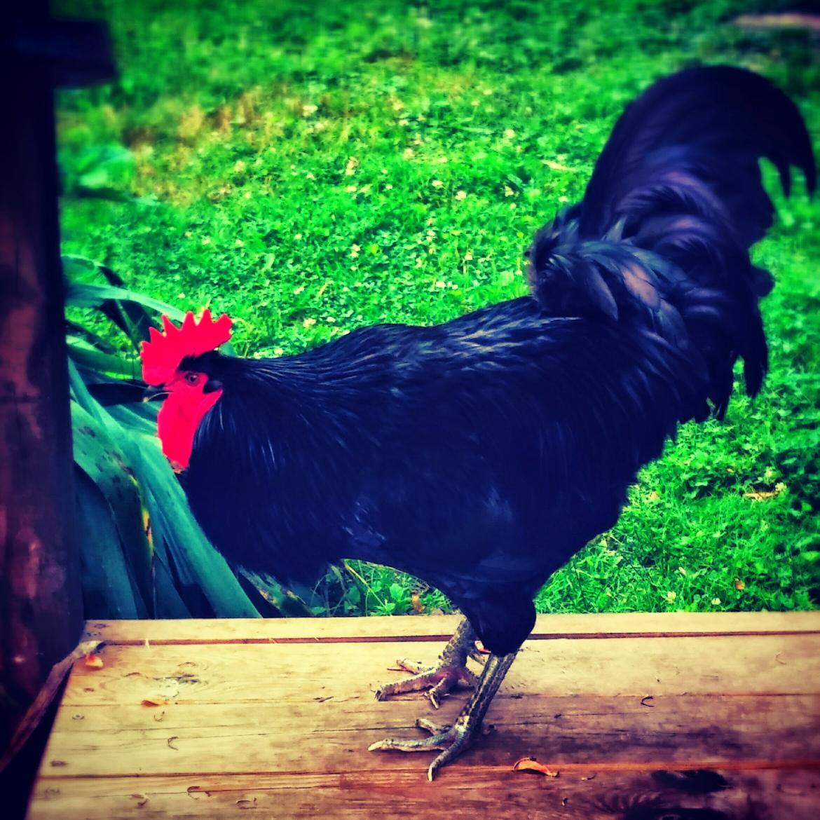 jonnycartergmng's profile picture. MBA, Born 1983, Fun, Athletic, Adventurous, Mysterious, Exciting, Hard Working, Dedicated, Passionate, Trustworthy.