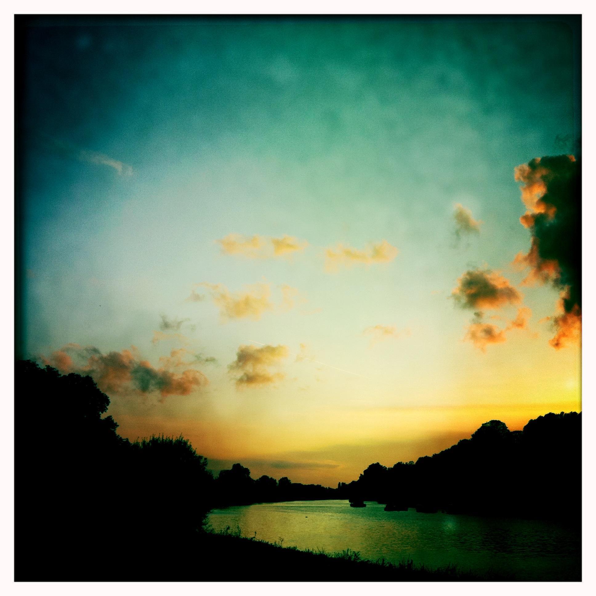 WellHampshire's profile picture. 