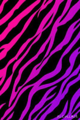 CharlotteWaist1's profile picture. 