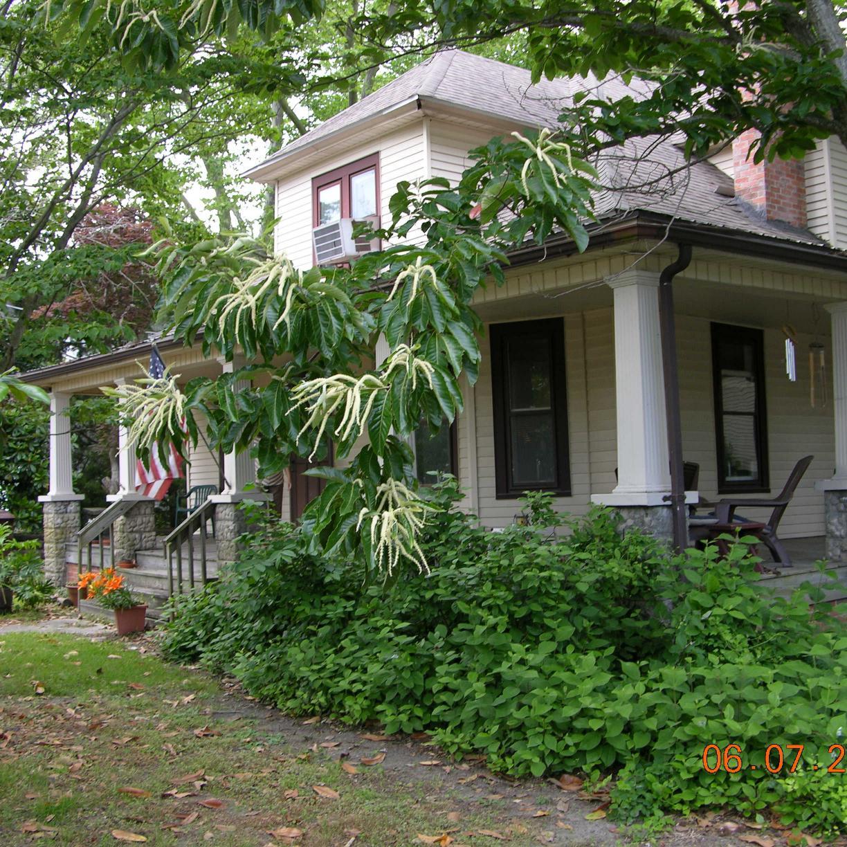 MEchirps's profile picture. Associate Broker with Connor-Jacobsen Realty in Bethany Beach. Jazz Vocalist, theater performer, director, producer in Del. and MD.