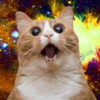 CatSurge (@catsurge) 's Twitter Profile