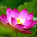 Daisy Williamson - @Art_and_Music_ - Twitter