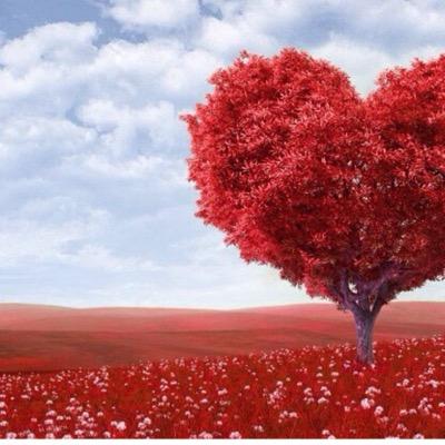 الشاعر والمفكر امير الشوق والاحساس❤️