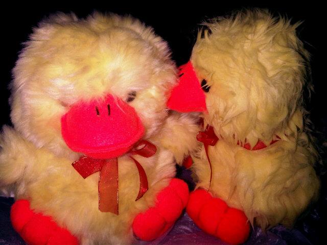 dioonP's profile picture. aku pernah memiliki, tapi aku kehilangan~