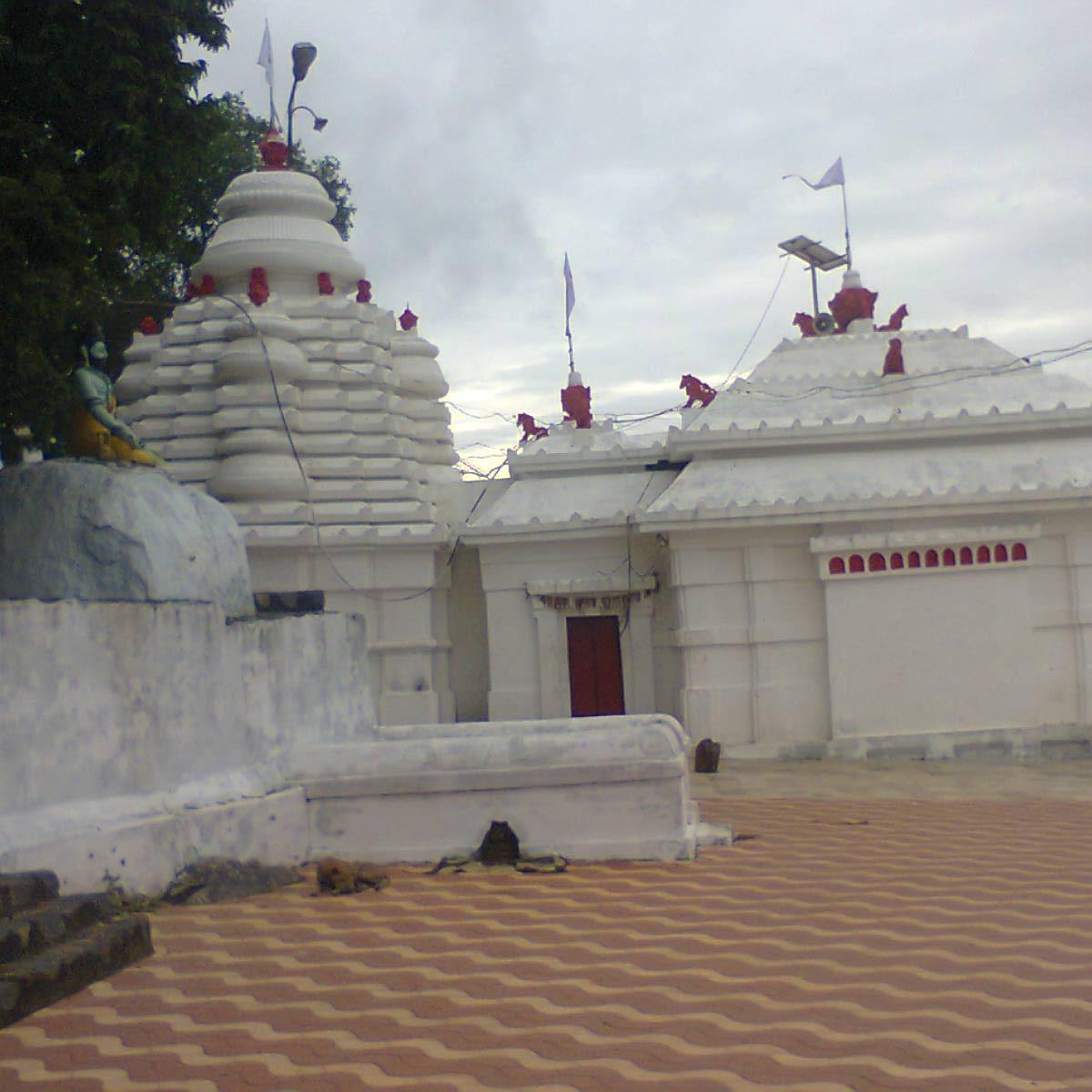 pandasudhiranj1's profile picture. 