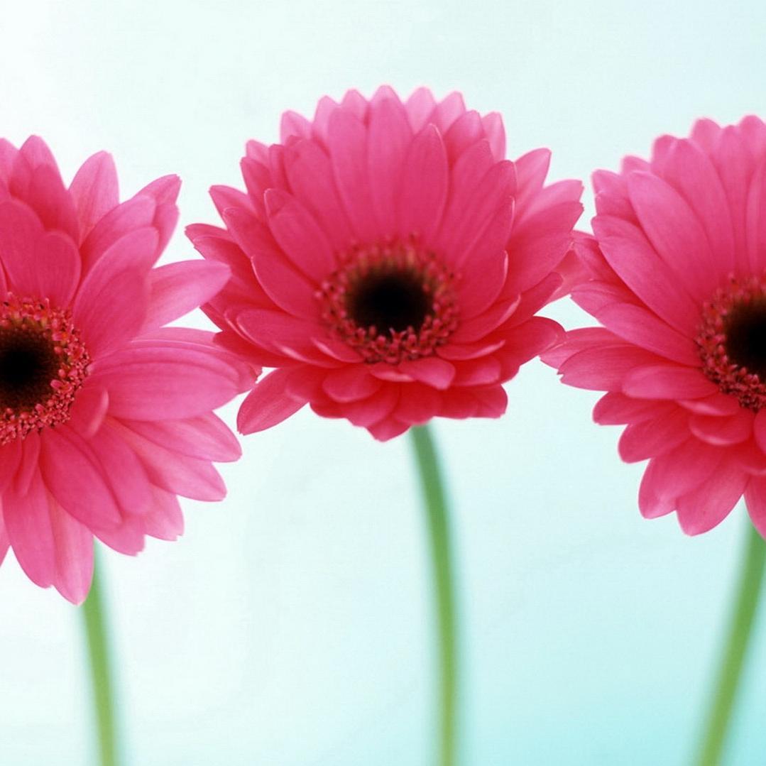 klein_j100's profile picture. | Student of Web Design | #TGClass |