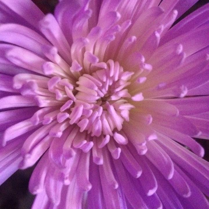 JgutieDesigns's profile picture. Photographer when ever I can and Mommy all the time! All Photos are mine and may not be copied! Thank you