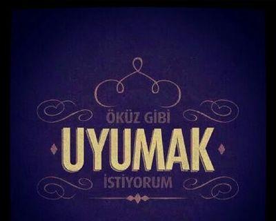 RuveydaGokdemir's profile picture. 