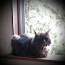 chris otey images - @ChrisOteyImages - Twitter