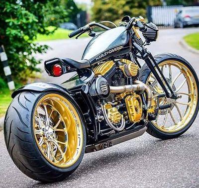 AreepArif's profile picture. 